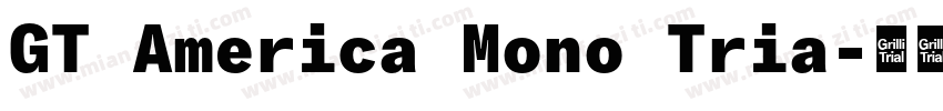 GT America Mono Tria字体转换